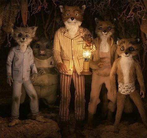 Kylie Fantastic Mr Fox Pfp, Ash Fox, Kay Core, Fantastic Mr Fox Aesthetic, Fantastic Mr Fox Movie, We Anderson, Tis Autumn, Fall Core, Wes Anderson Movies