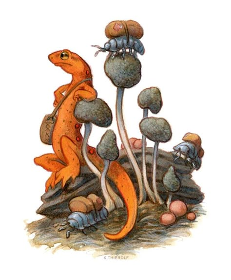 Rpg Creatures, Animal Illustration Art, Magic Island, Bug Art, Call Art, Salamanders, Anthro Art, Slug, Newt