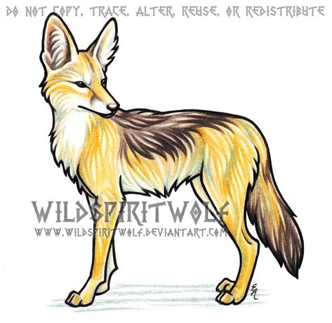 Jackal Sketch, Jackal Illustration, Jackal Drawing, Head Drawing, Fox Painting, Easy To Draw, Drawing Heads, Cartoon Drawing, African American Art