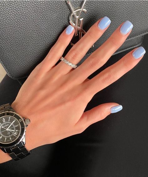 French Tip Pastel, Powder Blue Nails, Silhouette Nails, The Best Nails, Dip Nail Colors, Fashionable Nails, Inspiration Nails, Light Blue Nails, Best Nails