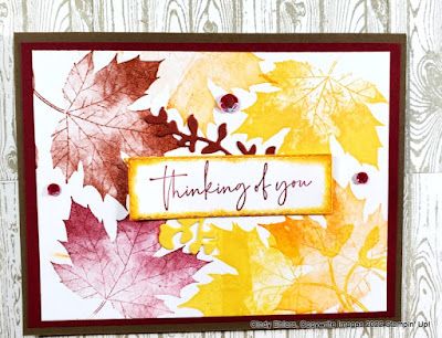 Cindy's Stamping Studio : August Stamp of the Month - Soft Seedlings Soft Seedlings, Fall Cards Handmade, Thanksgiving Cards Handmade, Fall Greeting Cards, Leaf Cards, Thanksgiving Cards, Stamping Up Cards, Fall Cards, Halloween Cards