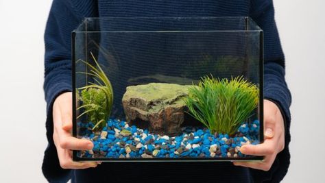 Did the kids lose interest in the fish tank, or are you just too busy to maintain it? Repurpose your fish tank into something useful! Repurpose Fish Tank, Fish Tank Gravel, Breeding Betta Fish, Aquarium Sand, Small Fish Tanks, Aquarium Maintenance, Aquarium Terrarium, Aquarium Gravel, Fish Tank Terrarium