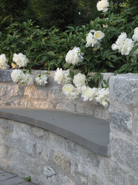 Stone Wall With Plants, Stone Garden Wall, White Stone Retaining Wall, Stone Wall Planter, Stone Wall Garden, Natural Stone Garden Wall, Stone Wall Planting, Ivy On Stone Wall, Cotswold Stone Wall Garden