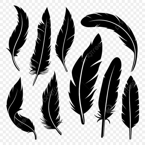 Crow Feather Drawing, Feather Svg Free Cricut, Tattoos Background, Feather Doodle, Vector Free Png, Feather Silhouette, Feather Png, Feather Clipart, Names Of Birds