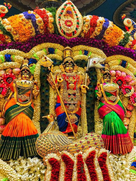 Murugan Valli Deivanai Hd Wallpaper, Murugan Thirukalyanam, Murugan Valli Deivanai Hd Images, Murgan Images God, Lord Palani Murugan Hd Wallpaper, Kali Amman, Lord Murugan Hd Wallpaper 4k, Iyyapan Images Hd Wallpaper, Photos Of Ganesha