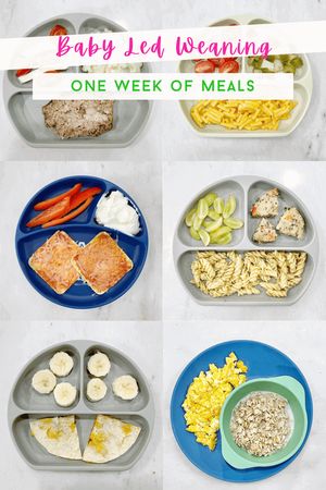 Blw Lunch Ideas 7 Month Old, Baby Lef Weaning 7 Months, Blw Weekly Meal Plan, Infant Recipes Meal Ideas, 7 Month Baby Led Weaning Food Ideas, Baby Led Weaning 11 Months Food Ideas, Baby Led Weaning 8 Months Meals, 10-12 Month Baby Food Meal Ideas, 6 Month Old Lunch Ideas