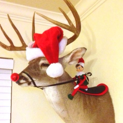 Elf on a shelf Elf On The Shelf Riding A Reindeer, Elf With Reindeer Pet Ideas, Elf On The Shelf Reindeer, Deer Hunting Elf On The Shelf, Elf On The Shelf Deer Mount, Western Elf On The Shelf, Reindeer With Lights In Antlers, Reindeer Pet, Elf Reindeer