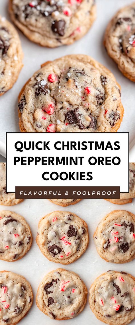 Image for Quick Christmas Peppermint Oreo Cookies No Bake Oreo Balls Christmas, Oreo Peppermint Balls, Sprits Christmas Cookies, Cookie Exchange Party Recipes, Best And Easy Christmas Cookies, Christmas Desserts With Kids, Simple Christmas Sweet Treats, Peppermint Bark Cookies Recipe, Chocolate And Peppermint Desserts