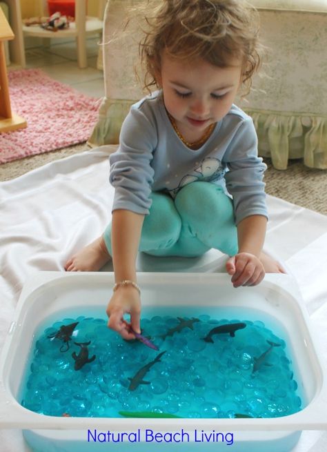 Under The Sea Preschool Activities- blue jello Sea Preschool Activities, Under The Sea Preschool Activities, Under The Sea Preschool, Ocean Theme Preschool Activities, Beach Theme Preschool, Camping Theme Preschool, Under The Sea Animals, Animals Activities, Ocean Theme Preschool