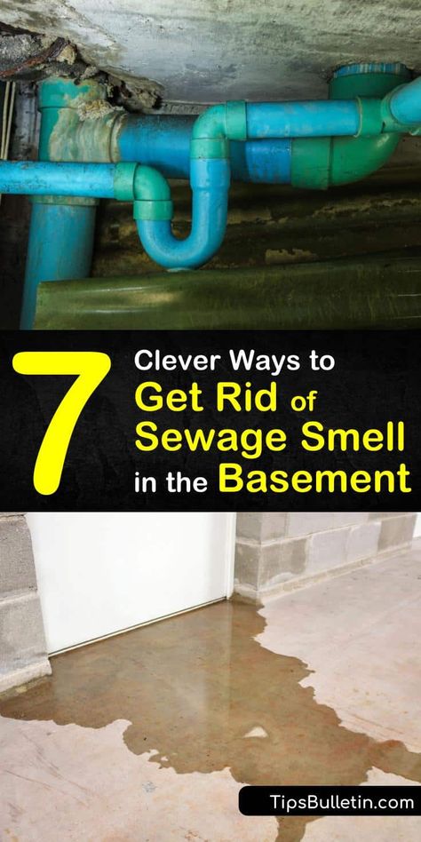 Get rid of sewer smell in basement areas for good by identifying common plumbing problems. Examine sewer line issues, defective wax rings, and broken p-traps to get to the source of sewage smell. Know the health effects of sewer gases and when to call a professional. #sewer #smell #basement Sewer Smell In Bathroom, Basement Odor, Sewage Pump, Diy Household Cleaners, Drain Pipes, Plumbing Problems, Water Valves, Sump Pump, Welding Table