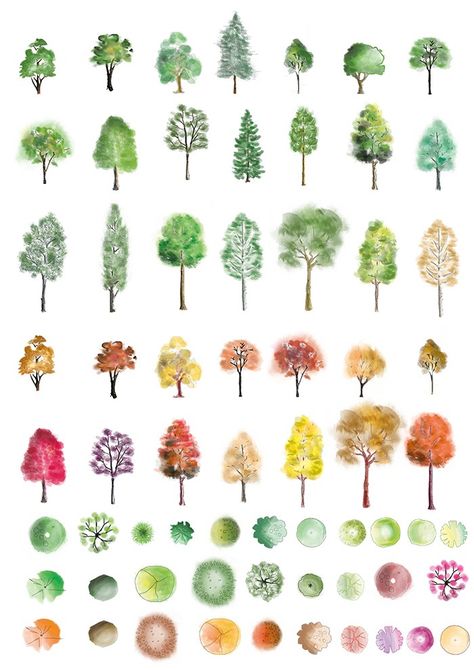 A huge set of colour trees in photoshop finished in different artistic style, showing both summer and autumn colours. These are ready to be dropped directly into your photoshop visuals. Colour Tree… Photoshop Tree, Tree Photoshop, Color Photoshop, Tree Sketches, Landscape Sketch, Seni Dan Kraf, Architecture Graphics, 수채화 그림, Watercolor Trees