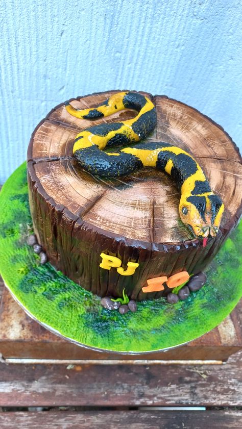 Fondant snake on tree stump cake Snake On Tree, Reptile Cake, Snake Cake, Stump Cake, Tree Stump Cake, Snake Cakes, Snake Birthday, 8th Birthday Cake, Reptile Party