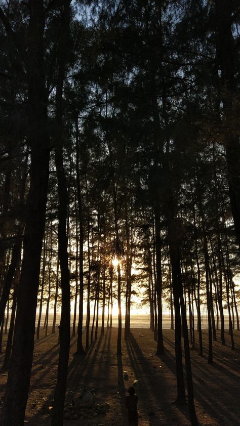 at Cox's Bazar Cox's Bazar, Sunset Sea, Sea Shore, Classy Photography, A Song, Aesthetic Photography, Beach Photography, Light And Shadow, Pretty Pictures