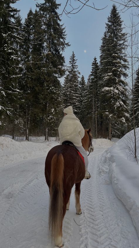 Christmas Horse Aesthetic, Winter Horseback Riding, Horse Winter Photoshoot, Skijoring Horse, Winter Horse Riding Outfit, Winter Horse Riding, Horsey Life, Horse Riding Aesthetic, Winter Horse