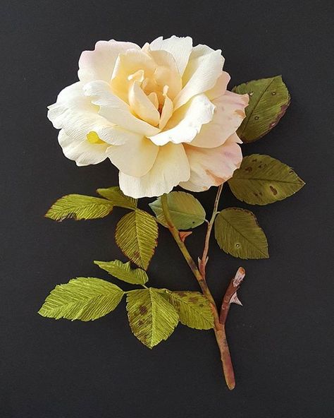 Flowers Reference, Flower Reference, Rose Reference, Fleurs Diy, Beautiful Flowers Photos, Flowers Photo, Rose Photo, Crepe Paper Flowers, Flower Rose