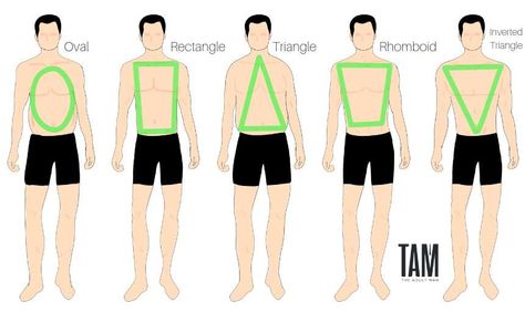 Men's Body Shapes Trapezoid Body Shape Men Clothing, Men Body Types, Body Shape Chart, Drawing Rules, Mens Body Types, Male Body Shapes, Dress For Body Shape, Proportions Fashion, Dress For Your Body Type