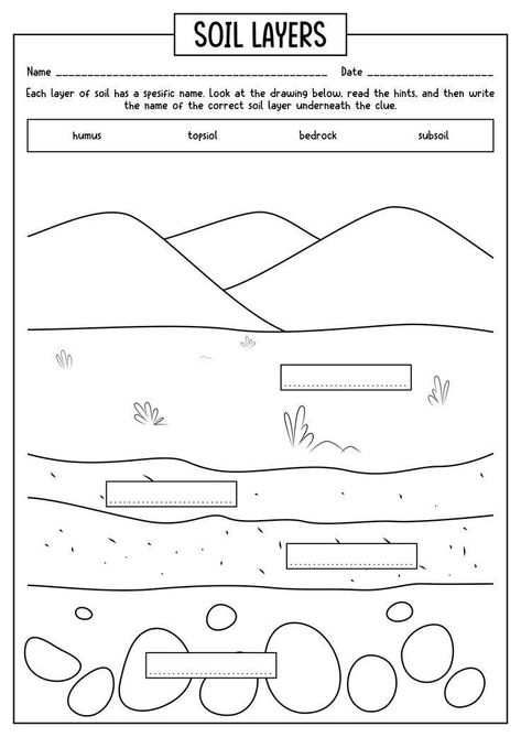 Soil Worksheets For Grade 2, Earth Science Worksheets Free Printable, Soil Layers Worksheet, Layers Of Soil Worksheet, Soil Activities For Kids, Soil Worksheet, 2nd Grade Science Projects, دورة حياة النبات, Layers Of Soil