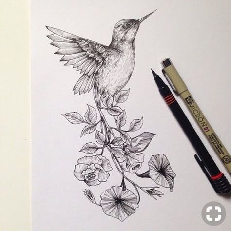 Tattoo uploaded by emma b | Humming bird flower tattoo sketch #hummingbird #hummingbirdtattoo #hummingbirds #sketch #floral #realistic #leaf #flowers #birdtattoo #bird #animal #floral #floraltattoo | 774706 | Tattoodo Tattoo Hummingbird, Bird And Flower Tattoo, Tattoo Bird, Kunst Tattoos, Geniale Tattoos, Hummingbird Tattoo, Humming Bird, Birds Tattoo, Trendy Tattoos