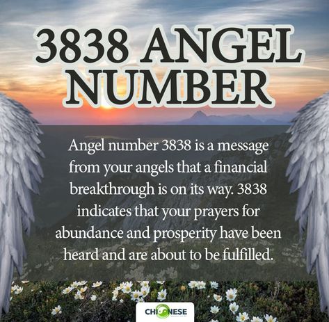 3838 angel number meaning 3838 Angel Number, 3838 Angel Number Meaning, 8 Angel Number, Meaning Of Numbers, Prayer For Prosperity, Runes Meaning, Financial Breakthrough, Angel Number Meaning, Angel Tarot Cards