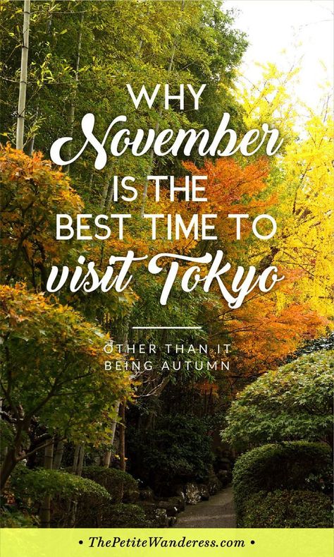 Why You Should Visit Tokyo in November • The Petite Wanderess via @thepetitewanderess Japan In November, Japan Beach, Japan Travel Destinations, Japan Holidays, Japan Destinations, Cheap Places To Travel, Japanese Travel, Tokyo Japan Travel, Visit Tokyo