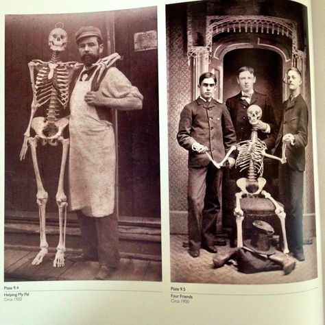 Stiffs, Skulls and Skeletons – Over 400 medical portraits taken in the 1800s and early 1900s 1800s Medical Aesthetic, Medical Painting, 1800s Photos, Medical Horror, Horror Aesthetic, Professional Portrait, Medical Aesthetic, Art References, Early 1900s