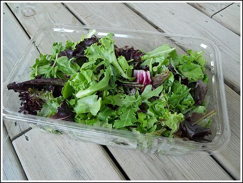 Simple Tip: How to Keep Lettuce Fresh Longer via AndreaDekker.com How To Keep Lettuce Fresh Longer, How To Prep Lettuce How To Store, Keeping Lettuce Fresh Longer, How To Save Lettuce In Fridge, How To Store Iceberg Lettuce, Keep Lettuce Fresh Longer How To Store, How To Keep Bagged Lettuce Fresh Longer, Salad Dressing Recipes Healthy, Pasta Salad Dressing