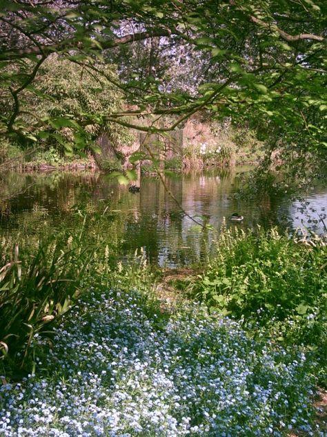 Cambridge Botanical Gardens, Alma Mater, Beautiful Country, Canberra, History Facts, Botanical Gardens, Short Film, Cambridge, Places To Go