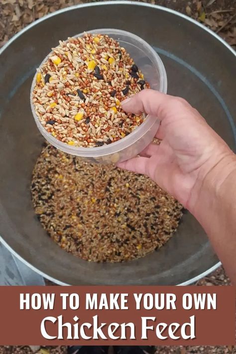 How To Make Your Own Chicken Feed • Simple At Home Organic Chicken Feed Recipe, Rabbit Coop, Protein For Chickens, Chicken Feed Recipe, Chicken Feed Diy, Chicken Layer Feed, What Can Chickens Eat, Organic Chicken Feed, Food For Chickens