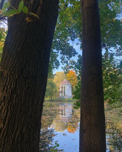 Nastya Archakova on Instagram: “🗡 #cottagecore #nature #naturecore #autumn #autumnvibes” Nastya Core, Cottagecore Nature, + Core + Aesthetic, Cottage Core, Fall Vibes, Tree Trunk, Crochet, Plants, On Instagram