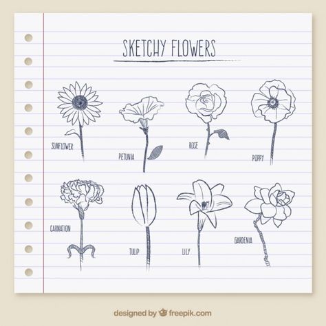 sketchy flowers Petunia Tattoo, Carnation Flower, Journal Doodles, File Free, Petunias, Psd Files, White Art, Art Tattoo, Graphic Resources