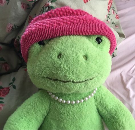 Cute Froggy Pfp, Frogs Cute Aesthetic, Wholesome Frog Pics, Frog Teddy Aesthetic, Green Frog Plush Aesthetic, Pink Beanie, Mint Green Aesthetic, Harry Core, Pink Beanies