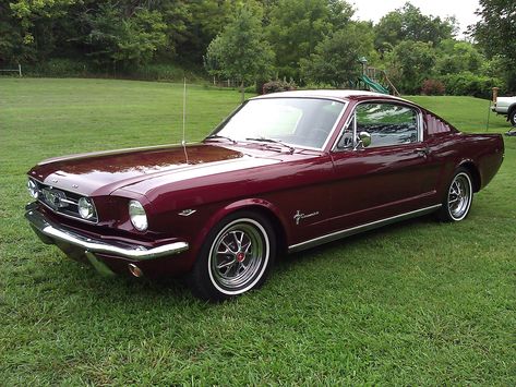 Classics 70s Mustang, Retro Mustang, 65 Ford Mustang, 65 Mustang Fastback, Old Mustang, Mustang 65, Red Mustang, Random Vintage, 65 Mustang