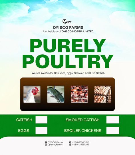 Poultry Farm BANNER DESIGN for Oyisco Farms. Poultry Farm Design, Broiler Chicken, Poultry Farm, Catfish, Banner Design, Quick Saves, Design