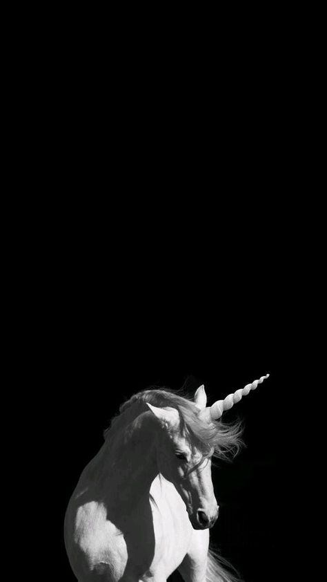 Dark Unicorn Wallpaper, Unicorn Wallpaper Aesthetic Dark, Unicorn Aesthetic Dark, Unicorn Wallpaper Aesthetic, Rainbow Unicorn Wallpaper, Unicorn Black And White, Black And White Unicorn, Unicorn Aesthetic, Dark Rise