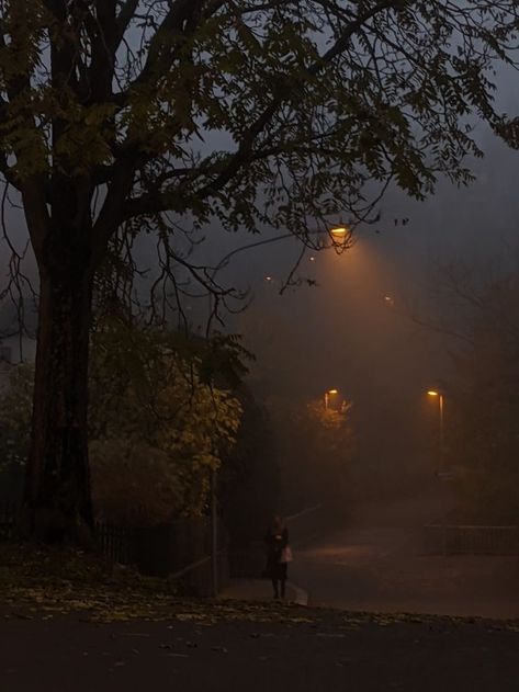 Halloween Night Aesthetic, Foggy Autumn, Hansel Y Gretel, Fall Night, Fall Mood Board, Dark Autumn, Autumn Night, Season Of The Witch, Best Seasons