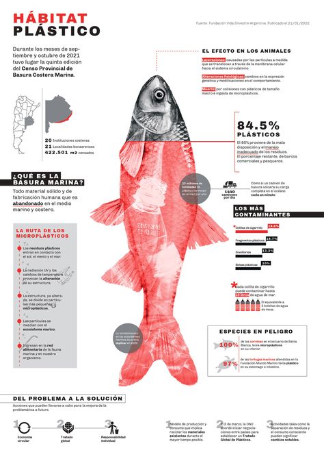 Creative Information Design, Poster For Product Design, Fruit Infographic Design, Research Infographic Design, Q&a Layout Design, Fun Infographic Design, Cool Infographic Design, Theory Of Change Infographic, Data Infographic Design