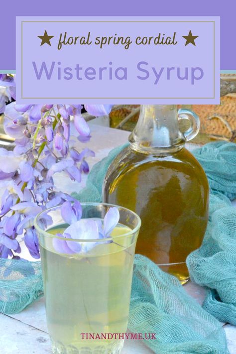 Wisteria Syrup. A gorgeous floral syrup that catches the perfume of a spectacular spring flowering vine. This recipe for wisteria cordial is simple to make and if you have access to wisteria flowers, it's well worth a go. It keeps well in the fridge and is perfect for summer sipping. #TinandThyme #WisteriaSyrup #FloralSyrups #SpringCordial #FlowerRecipes Wisteria Recipes, Fruit Sponge Cake, Floral Recipes, Spring Herbs, Flowers Recipes, Simple Sugar Syrup, Desserts Table, Wisteria Flowers, Drink Syrups