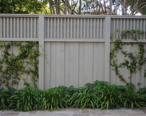 Fence Extension, Privacy Fence Ideas, Privacy Fence Designs, Front Fence, Backyard Privacy, Fence Styles, Types Of Fences, Privacy Fences, Modern Fence