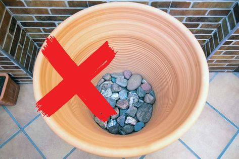 You were probably told to put rocks on the bottom of a pot to enhance drainage. However, this is a popular misconception. Let’s discuss why and what you should do instead. General Information The myth about adding rocks to your plant revolves around the concept that the stones provide better drainage. Instead, this has the […] What To Put In Bottom Of Flower Pots, Plant Drainage Potted, Rocks In Plant Pots, Flower Pot Hacks, What To Put In Bottom Of Large Planter, Drainage For Potted Plants, Rock Garden With Potted Plants, How To Fill Large Planters Pots, Large Flower Pots Outdoor