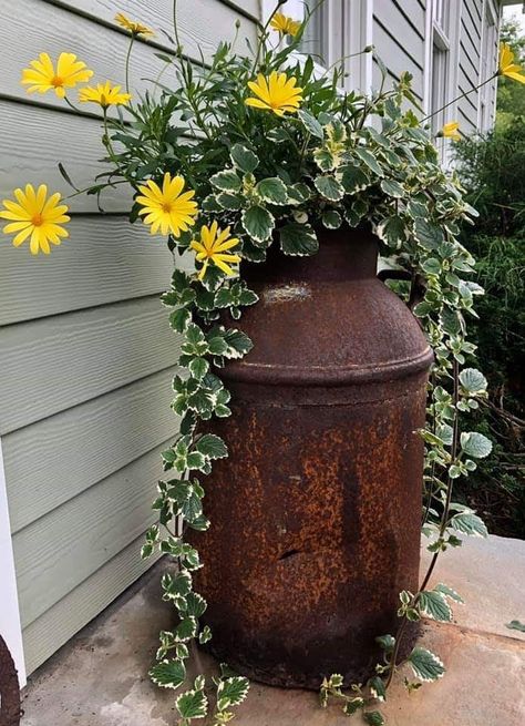 Vintage Milk Can Ideas, Milk Can Garden Ideas, Small Patio Furniture Ideas, Milk Can Decor, Small Patio Furniture, Old Milk Cans, Outdoor Renovation, Patio Flowers, Front Yard Garden Design