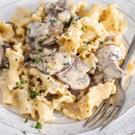 Campanelle with Creamy Mushroom Sauce - Spend With Pennies Creamy Mushroom Sauce Recipe, Campanelle Pasta, Homemade Bolognese Sauce, Creamy White Wine Sauce, Vegan Mushroom Stroganoff, Mushroom Sauce Recipe, Goat Cheese Pasta, Mushroom Cream Sauces, Creamy Pasta Dishes