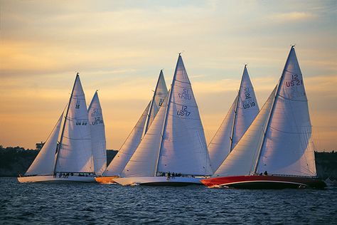 Americas Cup Yachts, Sailboat Photography, Sailing Photography, Sailboat Racing, Sailing Regatta, Sail Life, Nautical Prints, Classic Sailing, Sailing Art