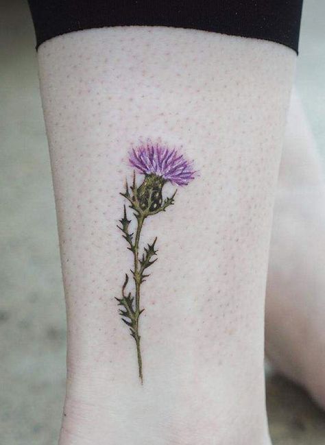 Diesel Tattoo, Gaelic Tattoo, Celtic Tattoo For Women, Scotland Tattoo, Scottish Thistle Tattoo, Scottish Tattoo, Scottish Tattoos, Thistle Tattoo, Stag Tattoo