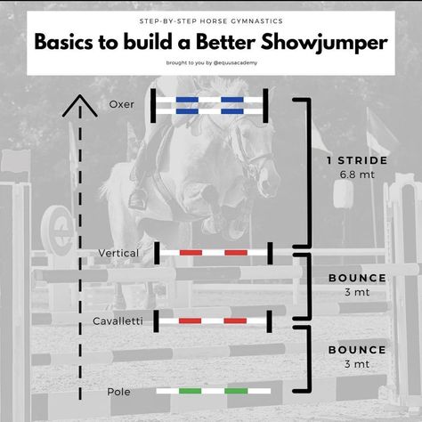 Horse Jumping Exercises Gymnastics, Grid Work For Horses, Jump Courses For Horses, Jumping Exercises For Horses, Equestrian Jumping Exercises, Barn Organization Ideas, Jump Exercises, Horse Training Ground Work, Horse Jumping Exercises