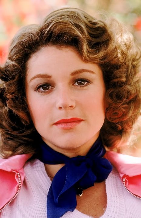 Dinah Manoff, Celebrity Face Mask, Grease Outfits, Grease Party, Grease 1978, Grease Live, Grease Movie, Grease Is The Word, Grease 2