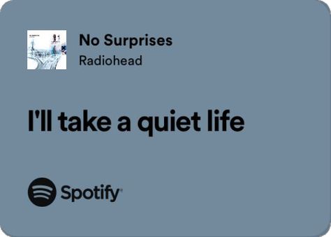 Ill Take A Quiet Life, Spotify Lyrics Aesthetic, Spotify Quotes, A Quiet Life, No Surprises, Motion Sickness, Spotify Lyrics, Quiet Life, Lyrics Aesthetic