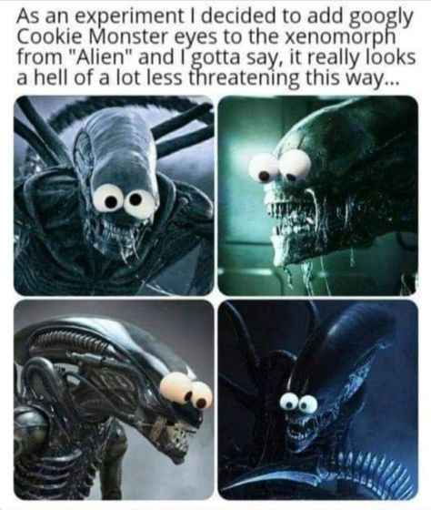 Xenomorph Funny, Xenomorph Fanart, Aliens Movie Art, Alien Movies, Alien Stuff, Giger Alien, Predator Alien Art, Monster Eyes, Its Friday