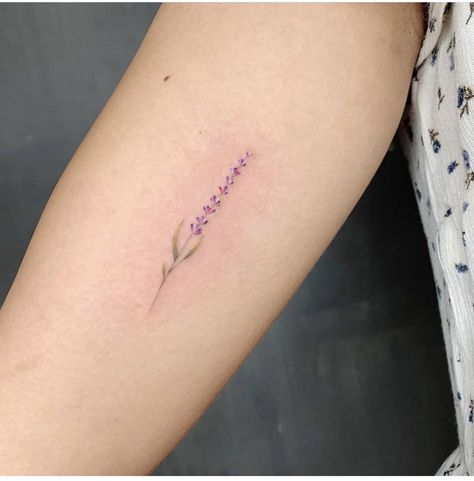 Lavender Stem Tattoo, Lavender Orchid Tattoo, Small Lilac Tattoo Black And White, Violet And Lavender Flower Tattoo, Minimalist Tattoo Lavender, Small Lilac Tattoo Simple, Fine Line Lavender Tattoo, Tiny Lilac Tattoo, Small Lilac Tatoos