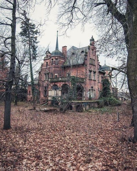 Old Victorian Homes Abandoned Mansions, Abandoned Mansions Interior, Abandoned Library, Abandoned Mansion For Sale, Mansions Interior, Mansion Aesthetic, Abandoned Warehouse, Abandoned Hotels, Old Victorian Homes