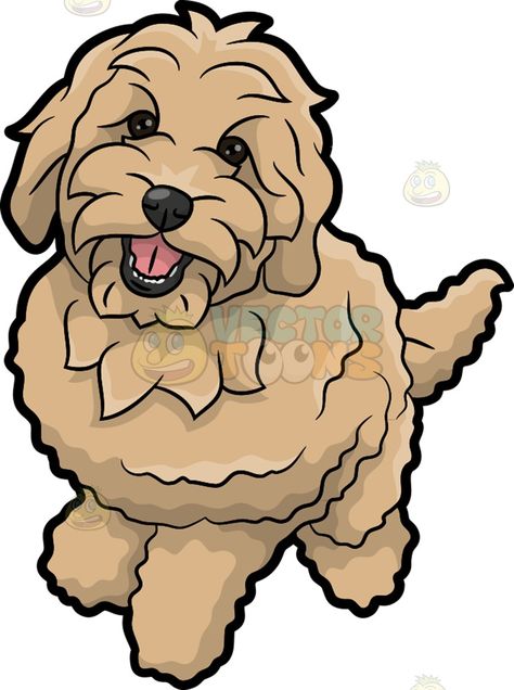 Goldendoodle Drawing Easy, Labradoodle Painting Easy, Curly Dog Drawing, Golden Doodle Coloring Pages, Golden Doodle Drawing Easy, Labradoodle Drawing Simple, Golden Doodle Painting Easy, Golden Doodle Sketch, How To Draw A Golden Doodle